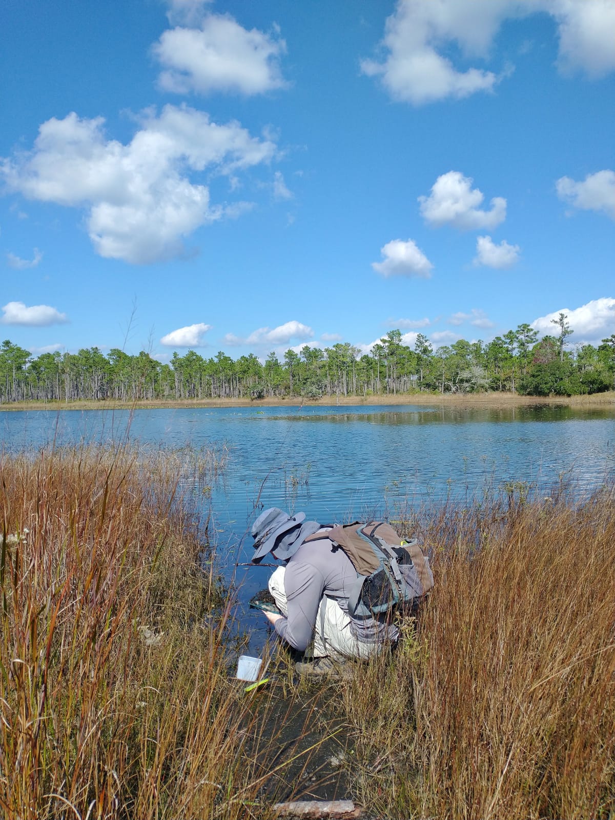 A photo of Matthew Pintar at a lake collecting insects