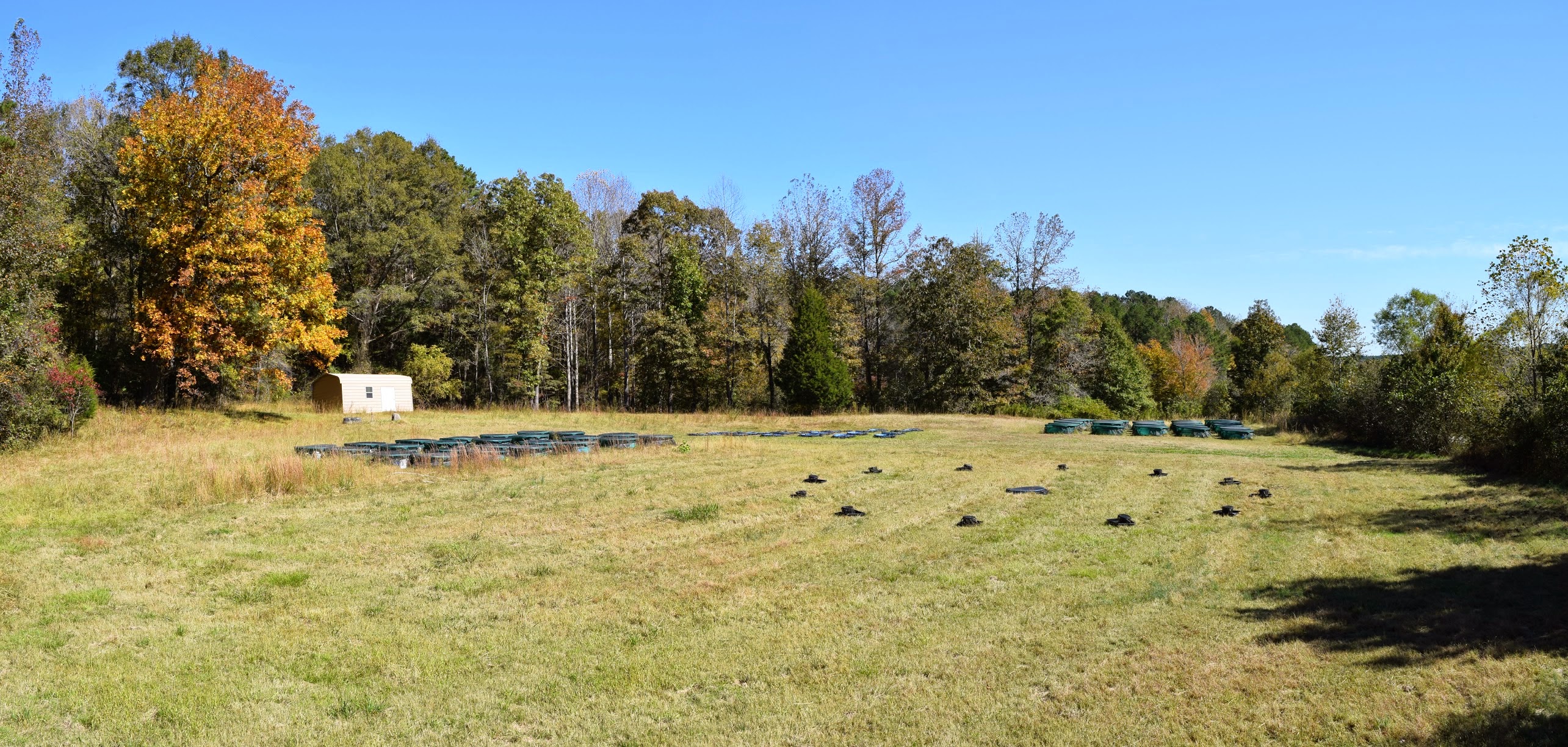 This is a panoramic photo of a field surrounded by trees during autumn containing multiple experiments consisting of numerous mesocosms arranged throughout the field.