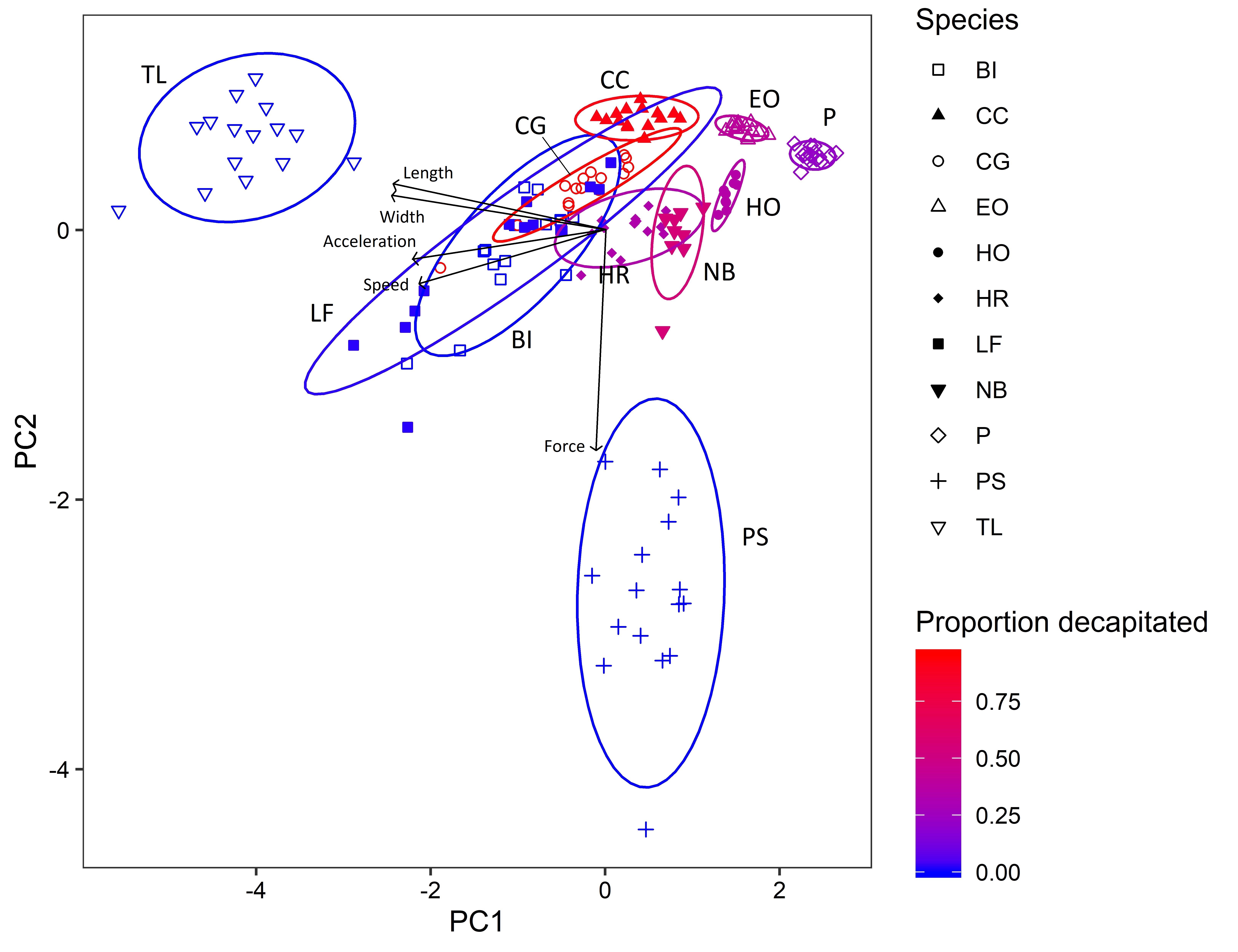 This is a figure illustrating the results of a principal components analysis of traits of several aquatic beetle species and their susceptibility to a predator